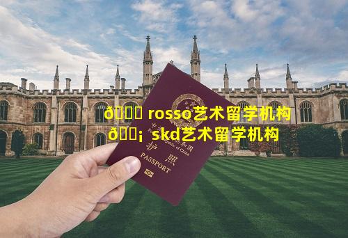 🐕 rosso艺术留学机构 🐡  skd艺术留学机构